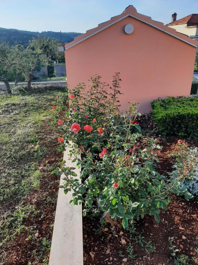 Apartment "Manna Zrnovo Zewnętrze zdjęcie