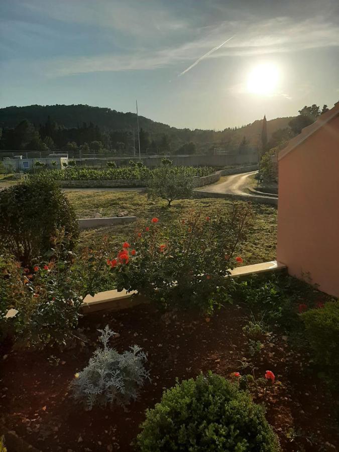 Apartment "Manna Zrnovo Zewnętrze zdjęcie